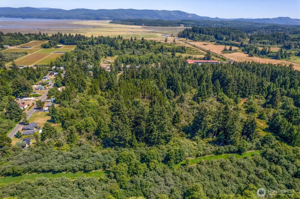 9905 Sandridge Road Long Beach, WA 98631
