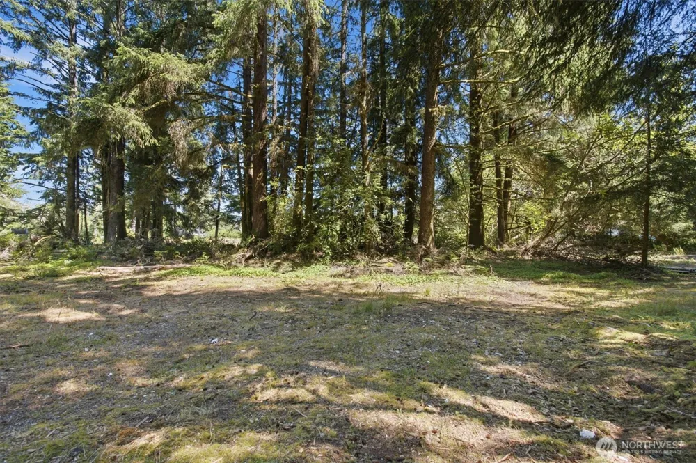 9905 Sandridge Road Long Beach, WA 98631