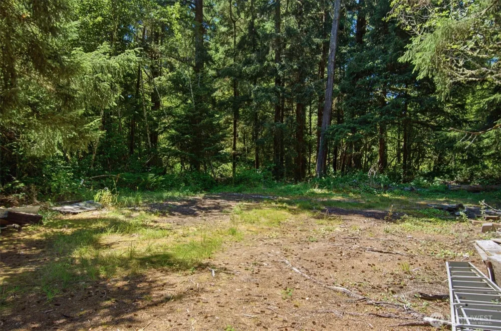 9905 Sandridge Road Long Beach, WA 98631