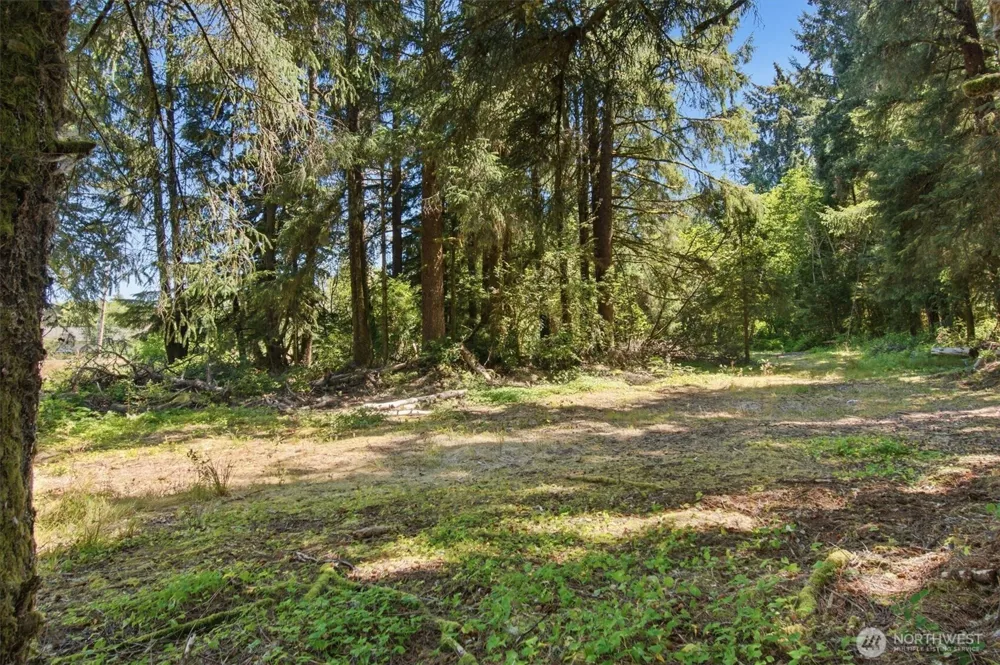 9905 Sandridge Road Long Beach, WA 98631