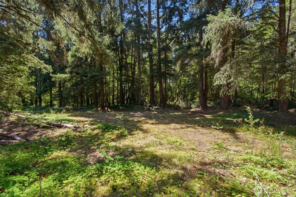 9905 Sandridge Road Long Beach, WA 98631