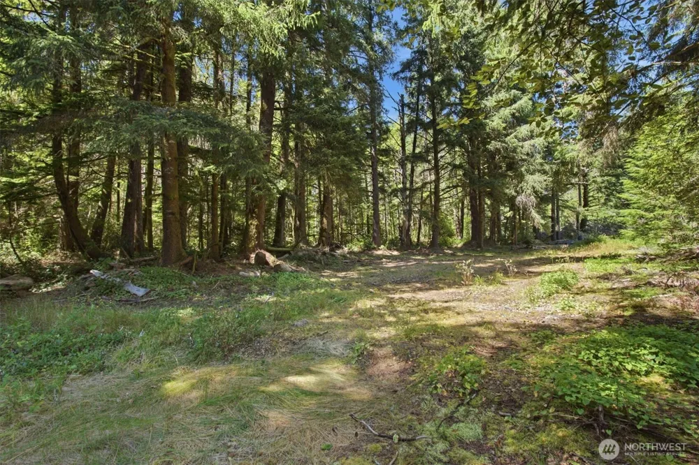 9905 Sandridge Road Long Beach, WA 98631
