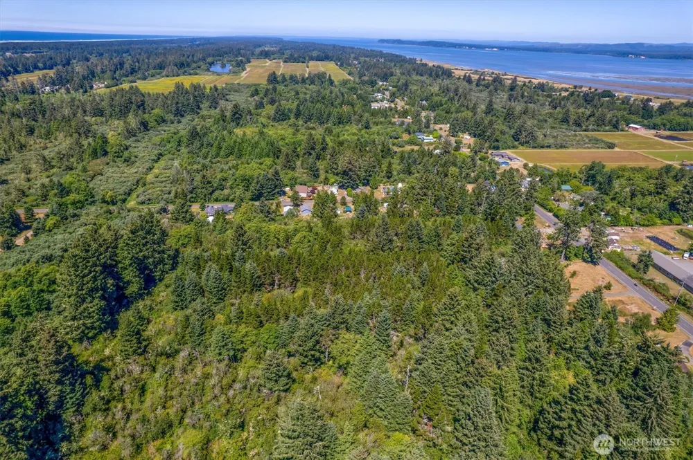 9905 Sandridge Road Long Beach, WA 98631
