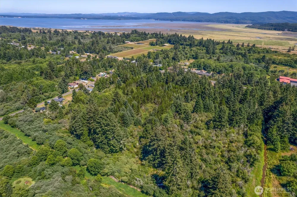 9905 Sandridge Road Long Beach, WA 98631