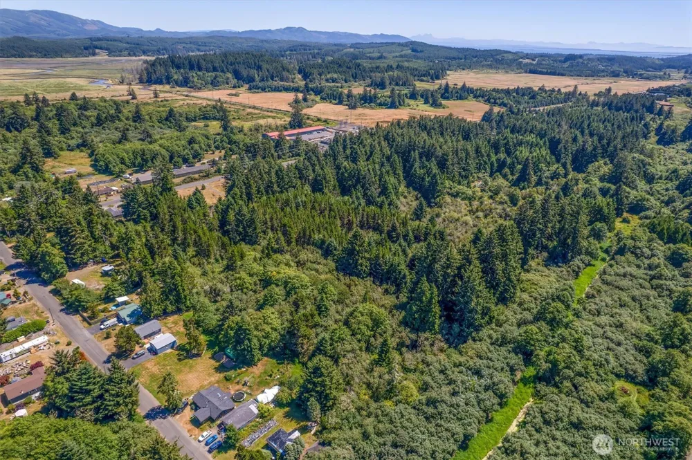 9905 Sandridge Road Long Beach, WA 98631