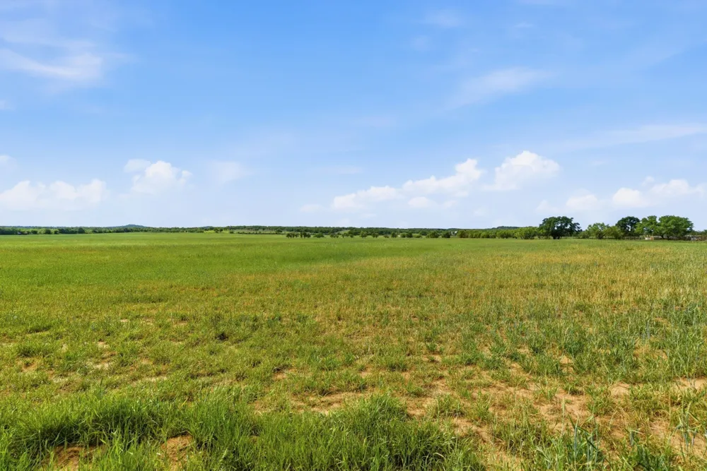 CR 403 Cisco, TX 76437