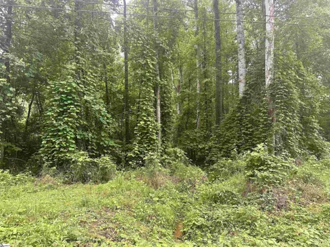 00 Dacusville Road