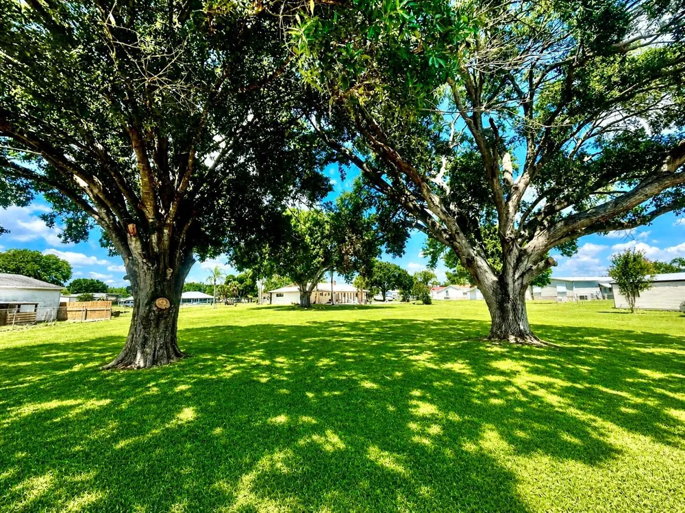 3856 SW 11TH AVENUE Okeechobee, FL 34974