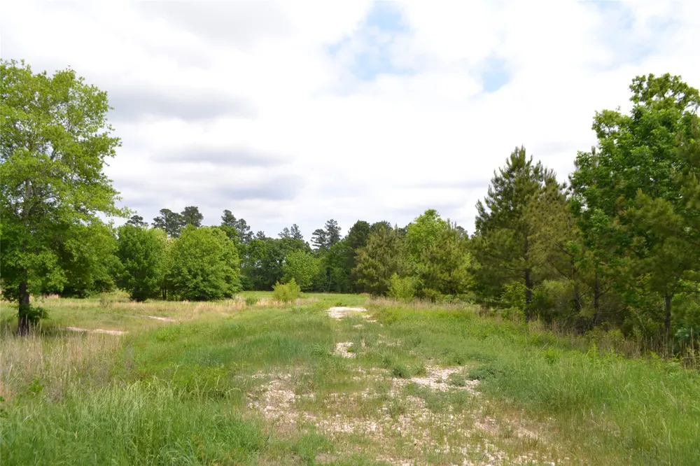 S HWY 69 Alba, TX 75410