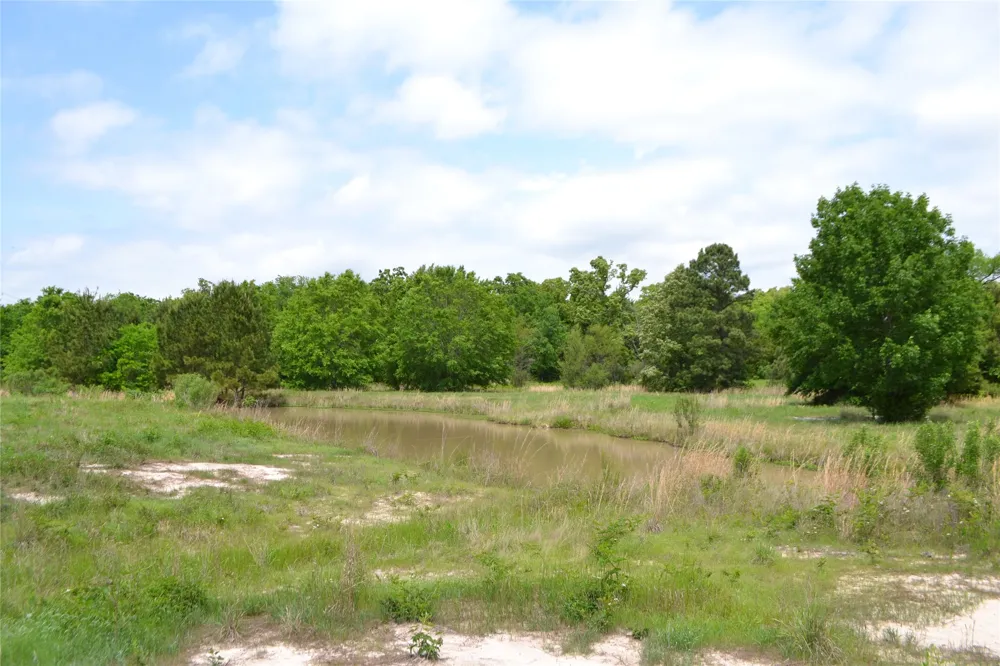 S HWY 69 Alba, TX 75410