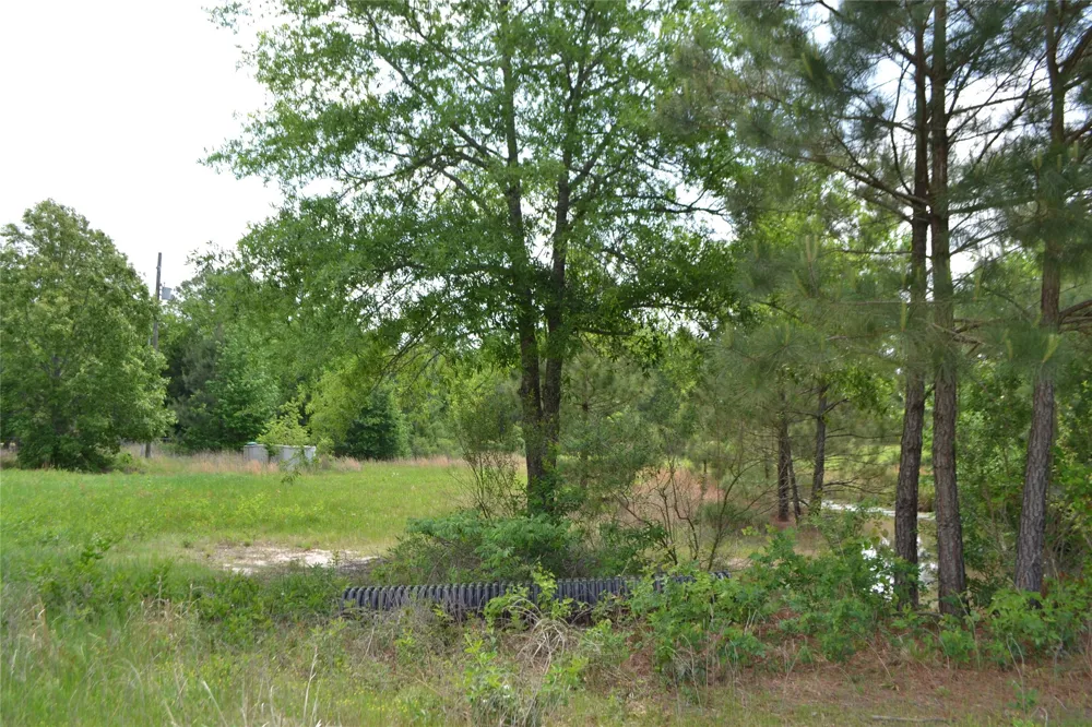 S HWY 69 Alba, TX 75410