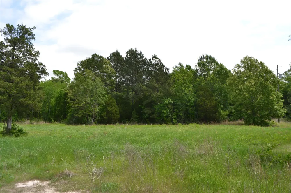S HWY 69 Alba, TX 75410