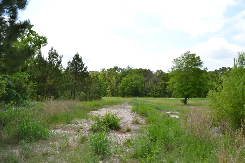 S HWY 69 Alba, TX 75410