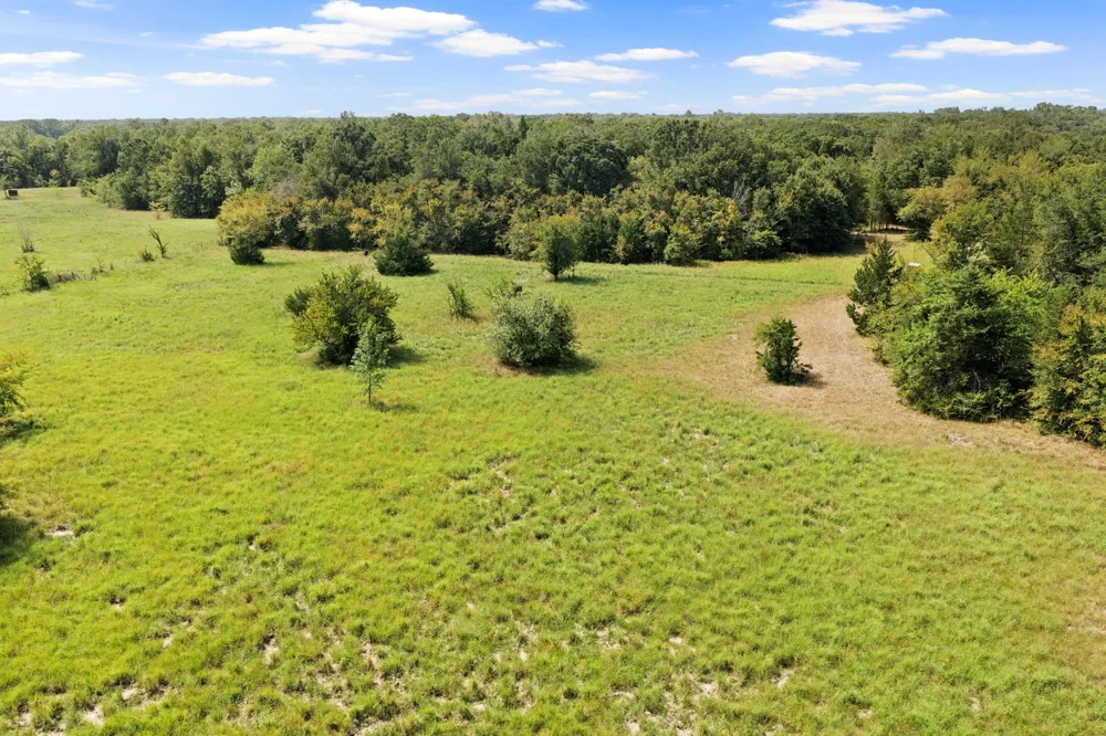 141 NE CR 2021 Talco, TX 75487