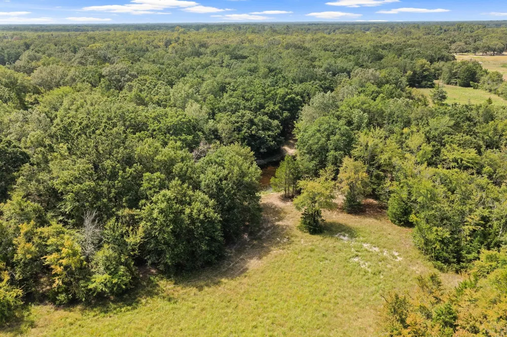 141 NE CR 2021 Talco, TX 75487