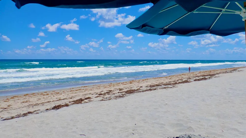 4101 Ocean Boulevard #D-1608 Boca Raton, FL 33431