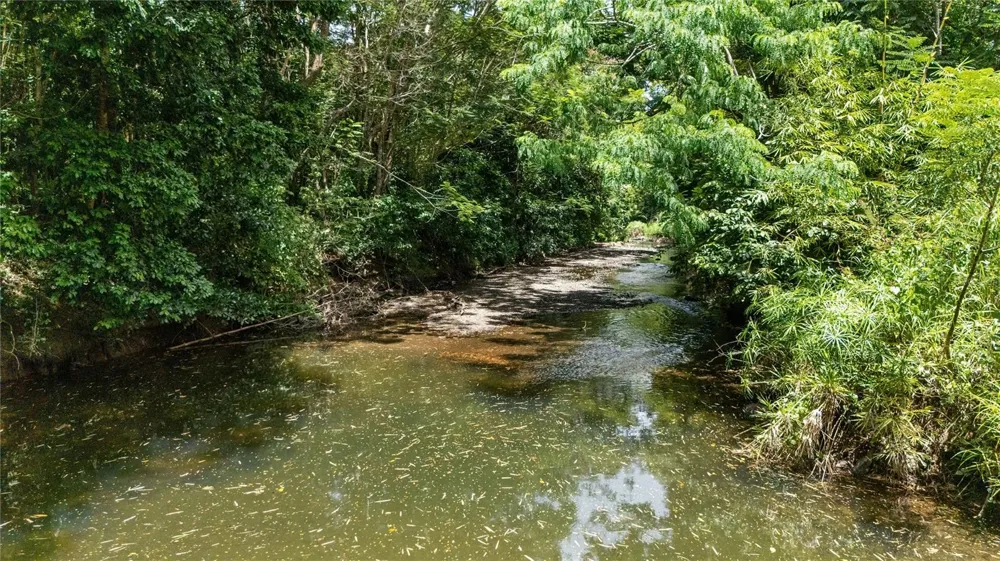 956 GUZMAN ABAJO Rio Grande, PR 00745