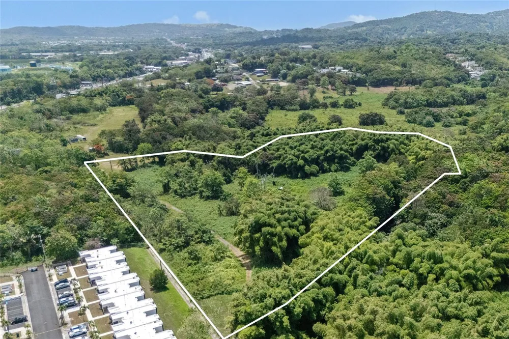 956 GUZMAN ABAJO Rio Grande, PR 00745