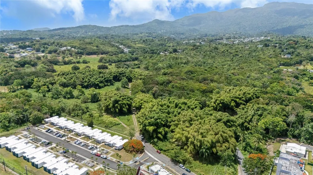 956 GUZMAN ABAJO Rio Grande, PR 00745
