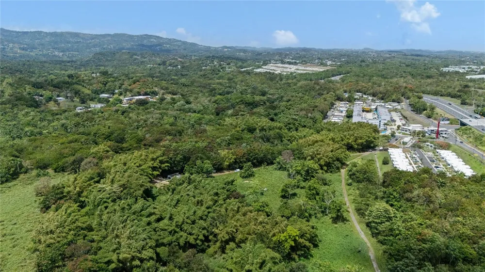956 GUZMAN ABAJO Rio Grande, PR 00745