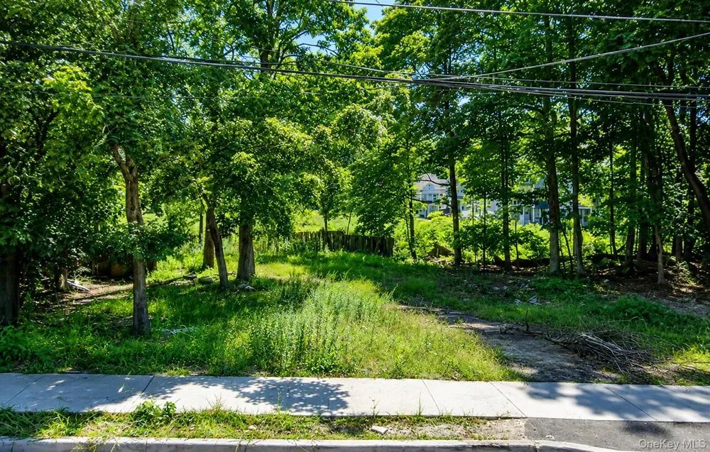194-196 Main Street Spring Valley, NY 10977