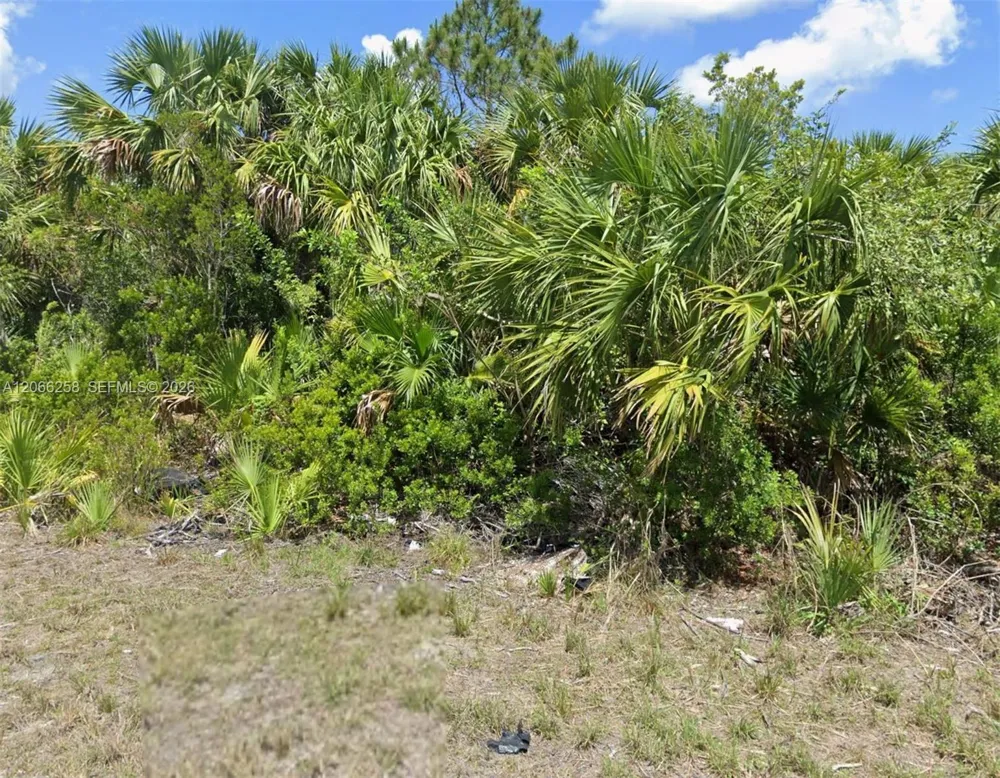 3051 SW Libby Ave Palm Bay, FL 32908