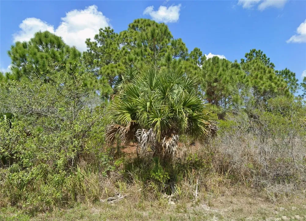 740 SW Opal Palm Bay, FL 32908