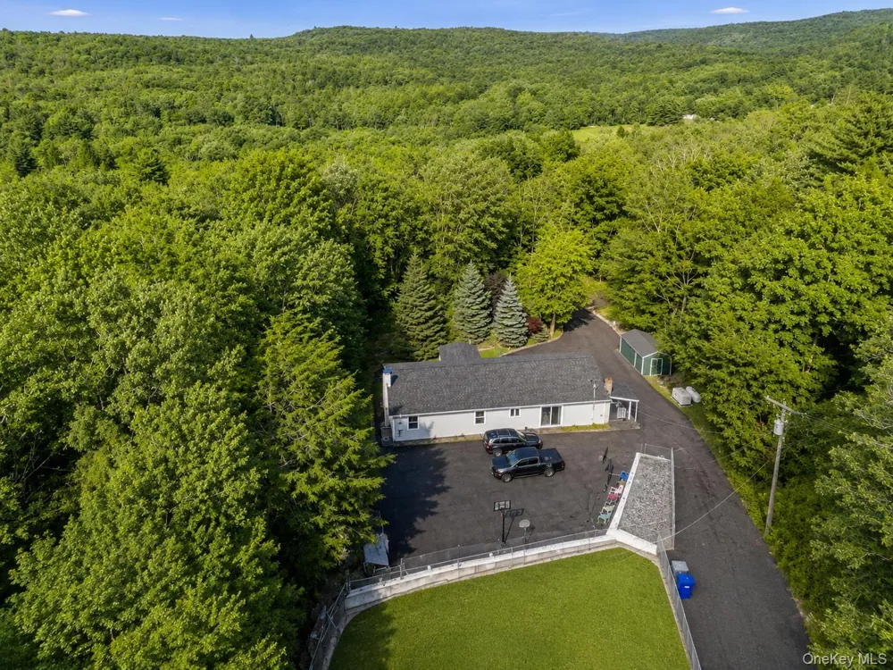 274 Grey Road South Fallsburg, NY 12779