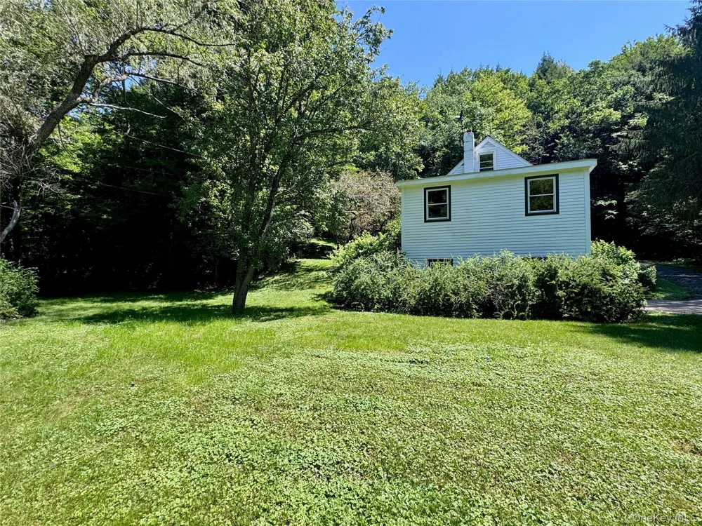 60 Alder Creek Road Livingston Manor, NY 12758