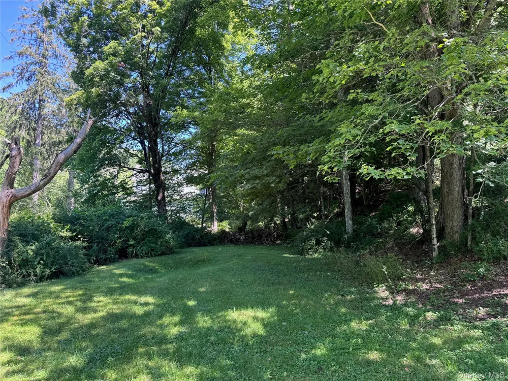 60 Alder Creek Road Livingston Manor, NY 12758