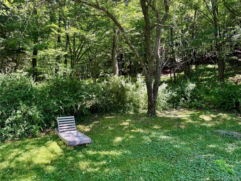 60 Alder Creek Road Livingston Manor, NY 12758