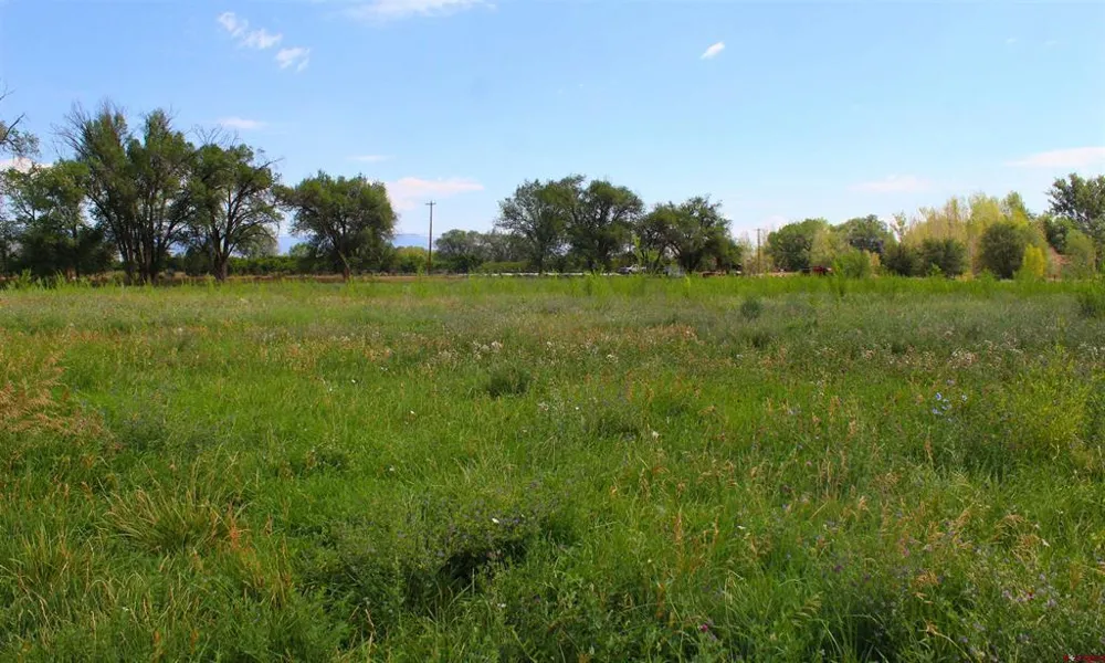 31490 Highway 92 Hotchkiss, CO 81419