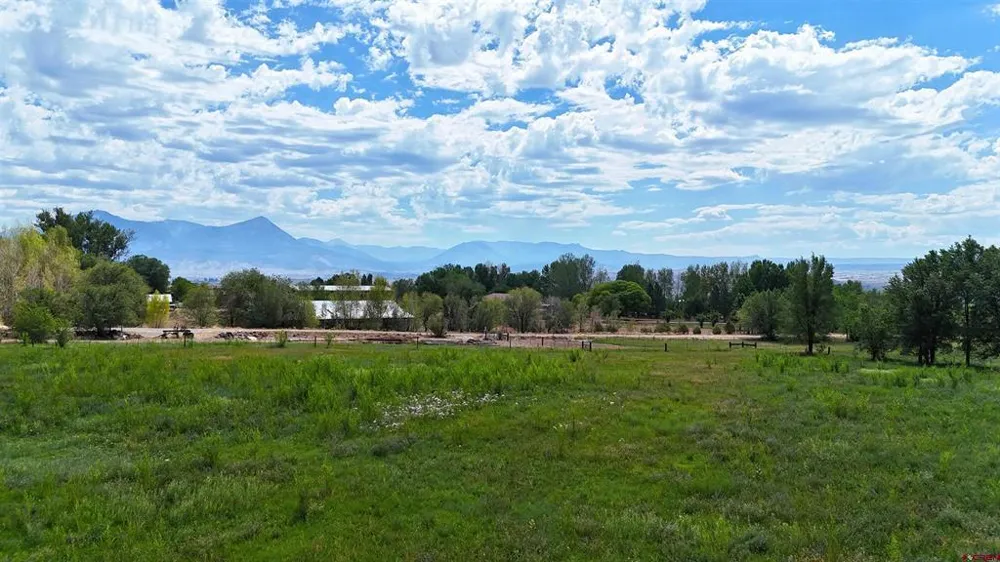 31490 Highway 92 Hotchkiss, CO 81419