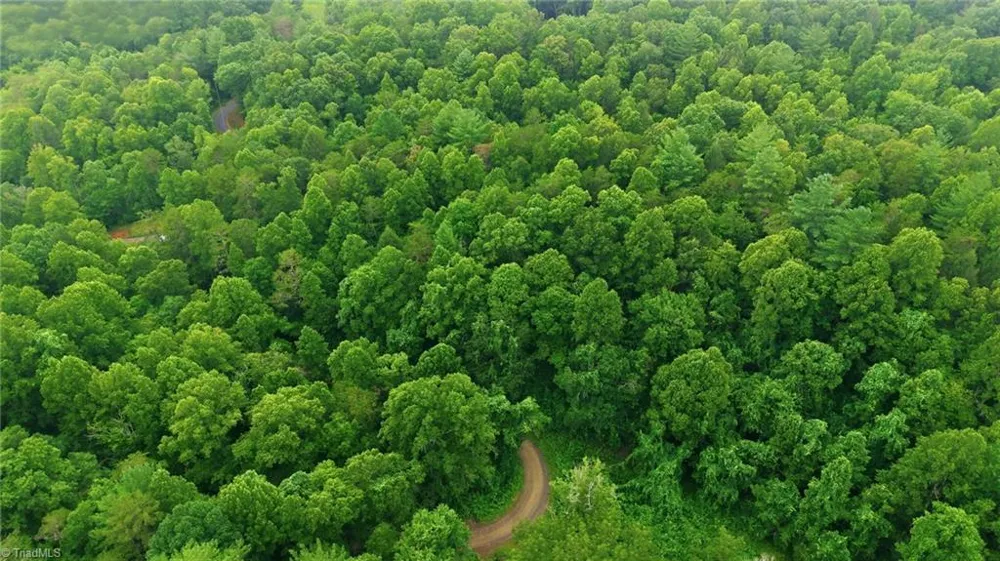 000 Brewer Mill Road Extension Traphill, NC 28685