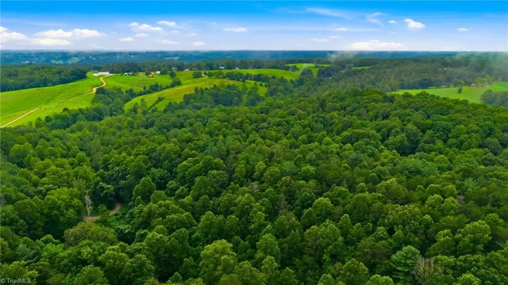 000 Brewer Mill Road Extension Traphill, NC 28685