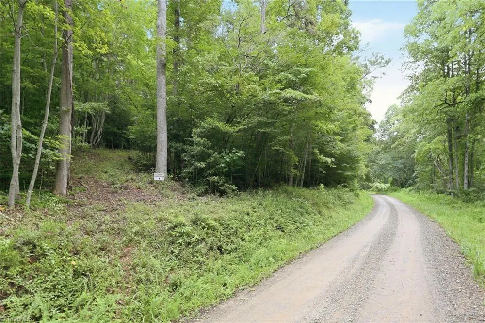 000 Brewer Mill Road Extension Traphill, NC 28685