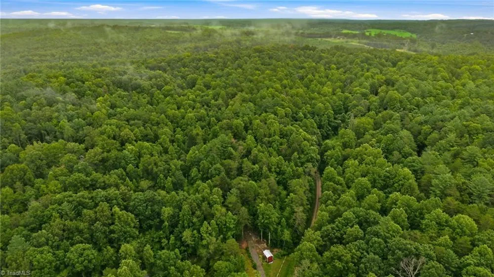 000 Brewer Mill Road Extension Traphill, NC 28685