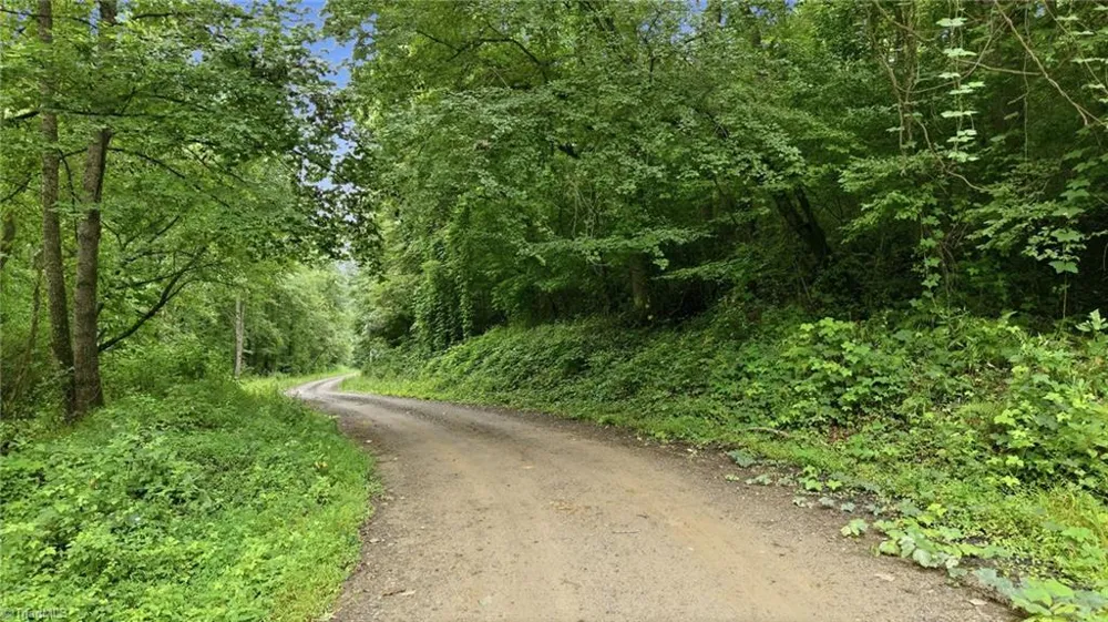 000 Brewer Mill Road Extension Traphill, NC 28685