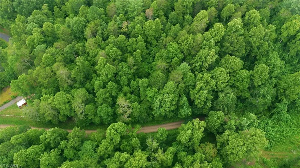 000 Brewer Mill Road Extension Traphill, NC 28685
