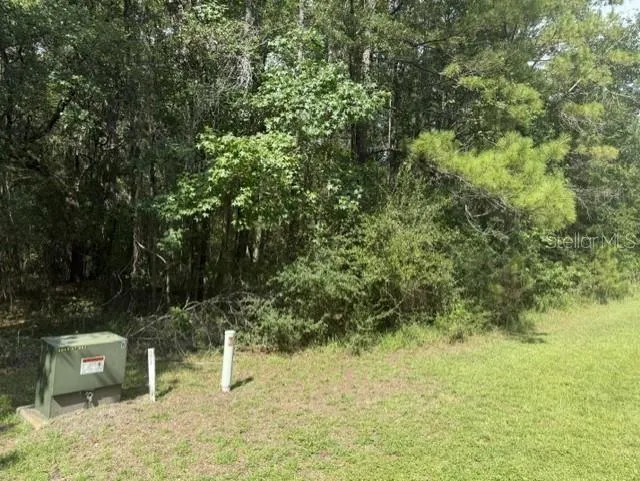 0 NW 148 LANE Reddick, FL 32686