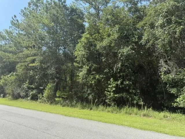 0 NW 148 LANE Reddick, FL 32686