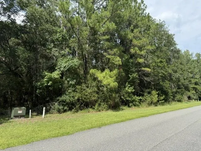 0 NW 148 LANE Reddick, FL 32686