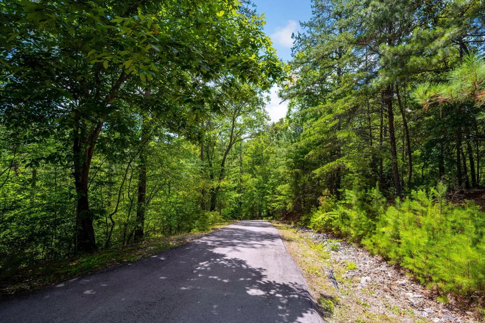 288 Five Points Road Dayton, TN 37321