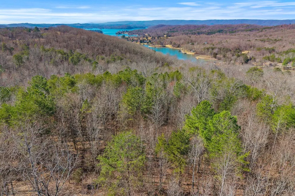 Ware Farms Road Spring City, TN 37381