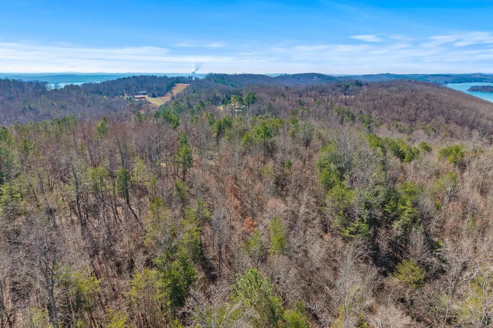 Ware Farms Road Spring City, TN 37381