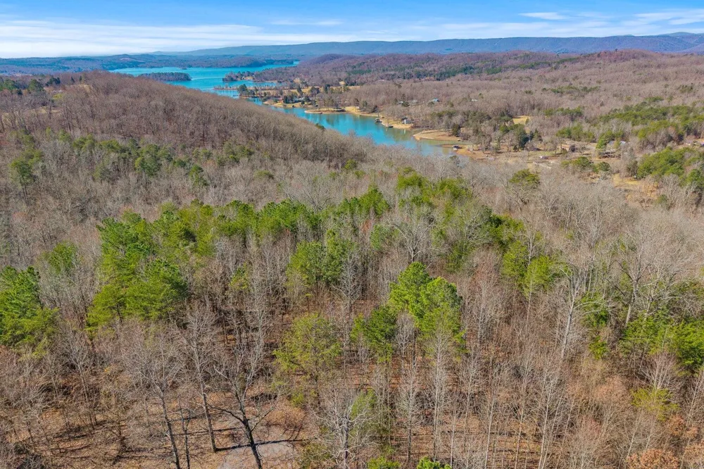 Ware Farms Road Spring City, TN 37381
