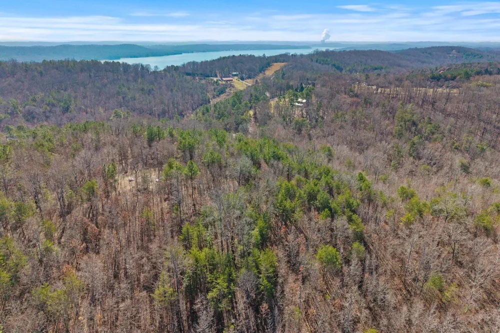 Ware Farms Road Spring City, TN 37381