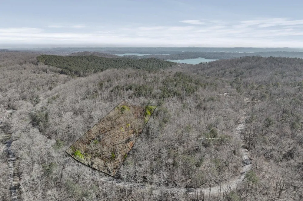 Ware Farms Road Spring City, TN 37381