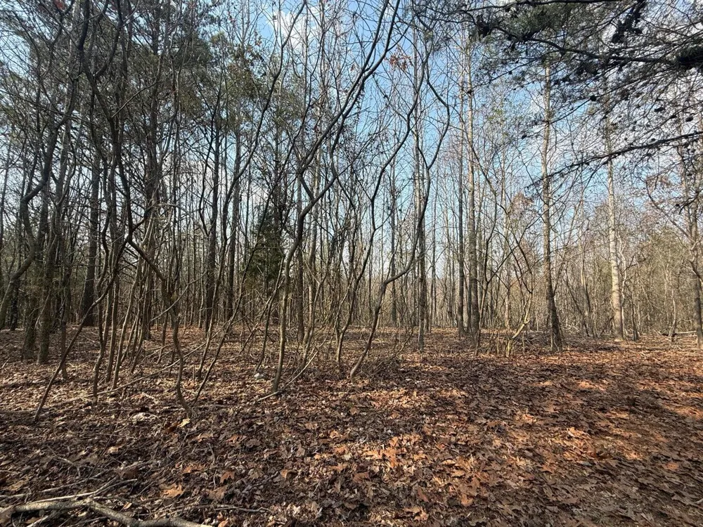 Ware Farms Road Spring City, TN 37381