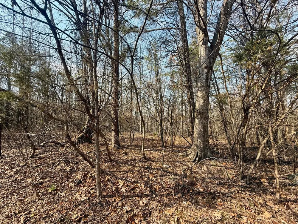Ware Farms Road Spring City, TN 37381